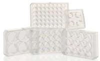 Thermo Scientific™ Nunc™ Cell-Culture Treated Multidishes, 4 well 167063