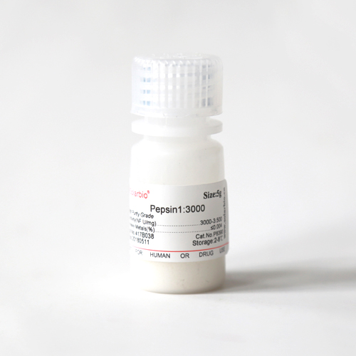 Pepsin 1:3000 胃蛋白酶 1:3000 9001-75-6