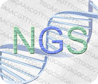 转录组测序/高通量测序/NGS