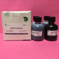 增强革兰氏染色液