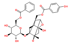 72896-40-3苯甲酰氧化芍药苷