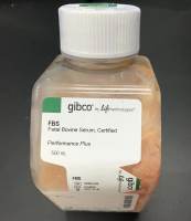 Gibco胎牛血清