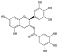 没食子儿茶素没食子酸酯