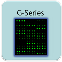 小鼠夹心法200个因子半定量抗体芯片