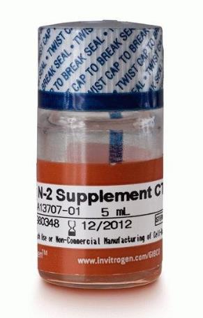 CTS™ (Cell Therapy Systems) N-2 Supplement