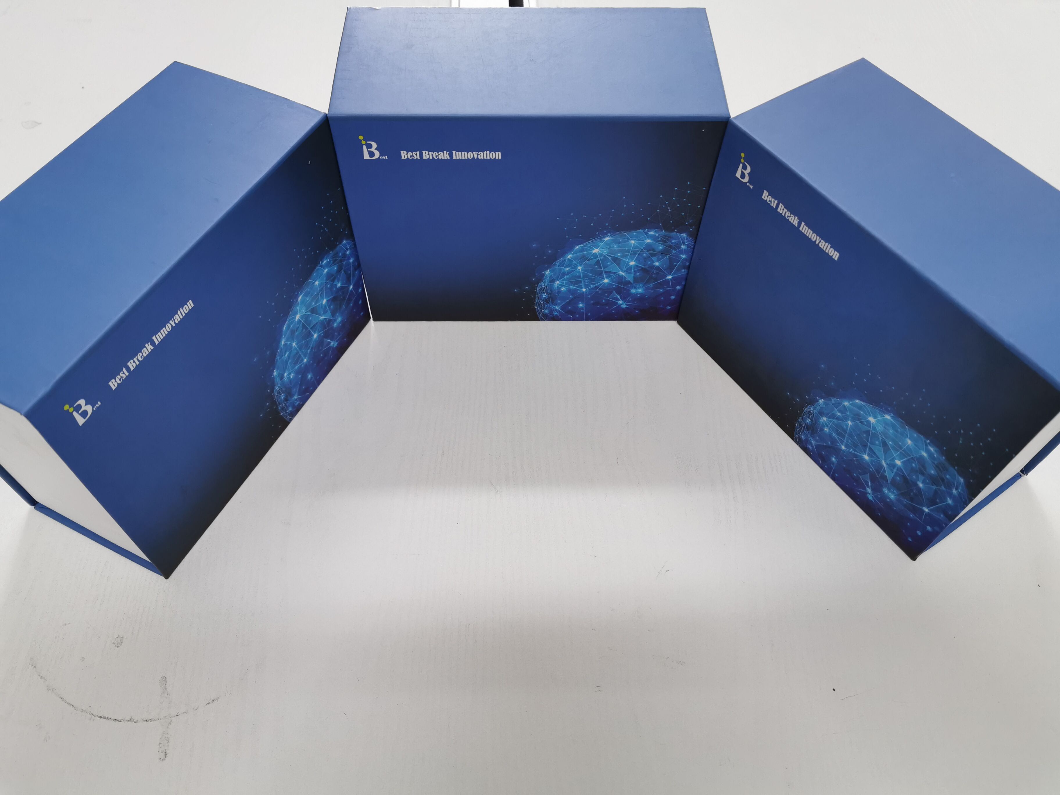 大鼠吡啶交联物酶联免疫试剂盒	