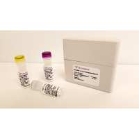 StemRNA 3rd Gen Reprogramming Kit (1 kit)