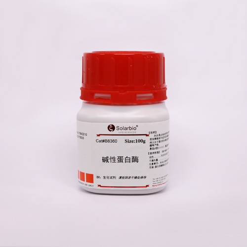 碱性蛋白酶(1:200000)