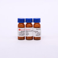 赫斯特荧光染料33258 供应