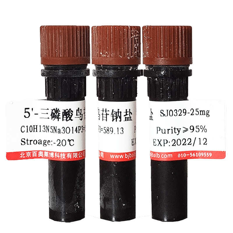 琼脂糖凝胶6B现货供应