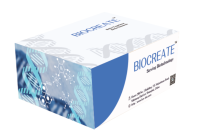 Anti-GFP Magnetic Beads