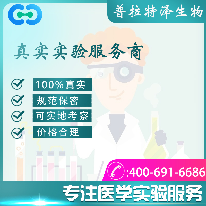 酵母双杂交\/RNA双杂交