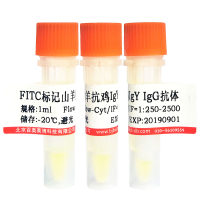 RBITC标记羊抗大鼠IgG抗体报价