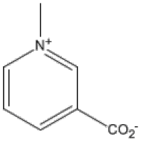 535-83-1葫芦巴碱