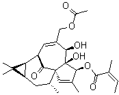 82425-35-2巨大戟醇-3-O-当归酸-20-乙酸酯