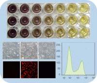细胞增殖/药物活性筛选