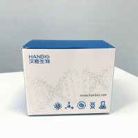 单萤光素酶检测试剂盒