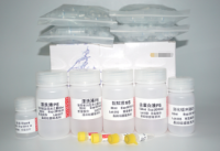 通用RNA提取试剂盒(离心柱型)