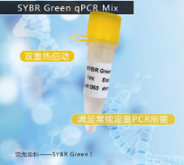 SYBR® Green qPCR Mix (with ROX)