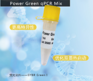 Power Green qPCR Mix