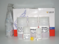 酵母基因组DNA快速提取试剂盒