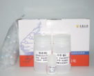 PCR产物及DNA片段纯化试剂盒