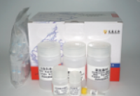 组织细胞基因组DNA快速提取试剂盒