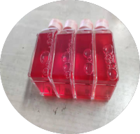 兔表皮干细胞/免疫荧光鉴定/镜像绮点（Cellverse）