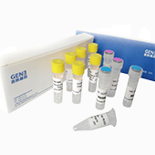 第二代懸浮細胞專用慢病毒