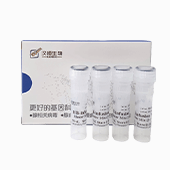 HB-infusion 無縫克隆試劑盒