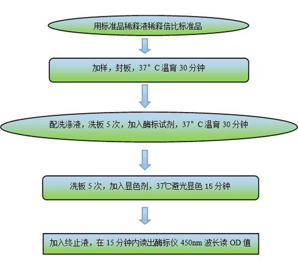 产品细节图片1