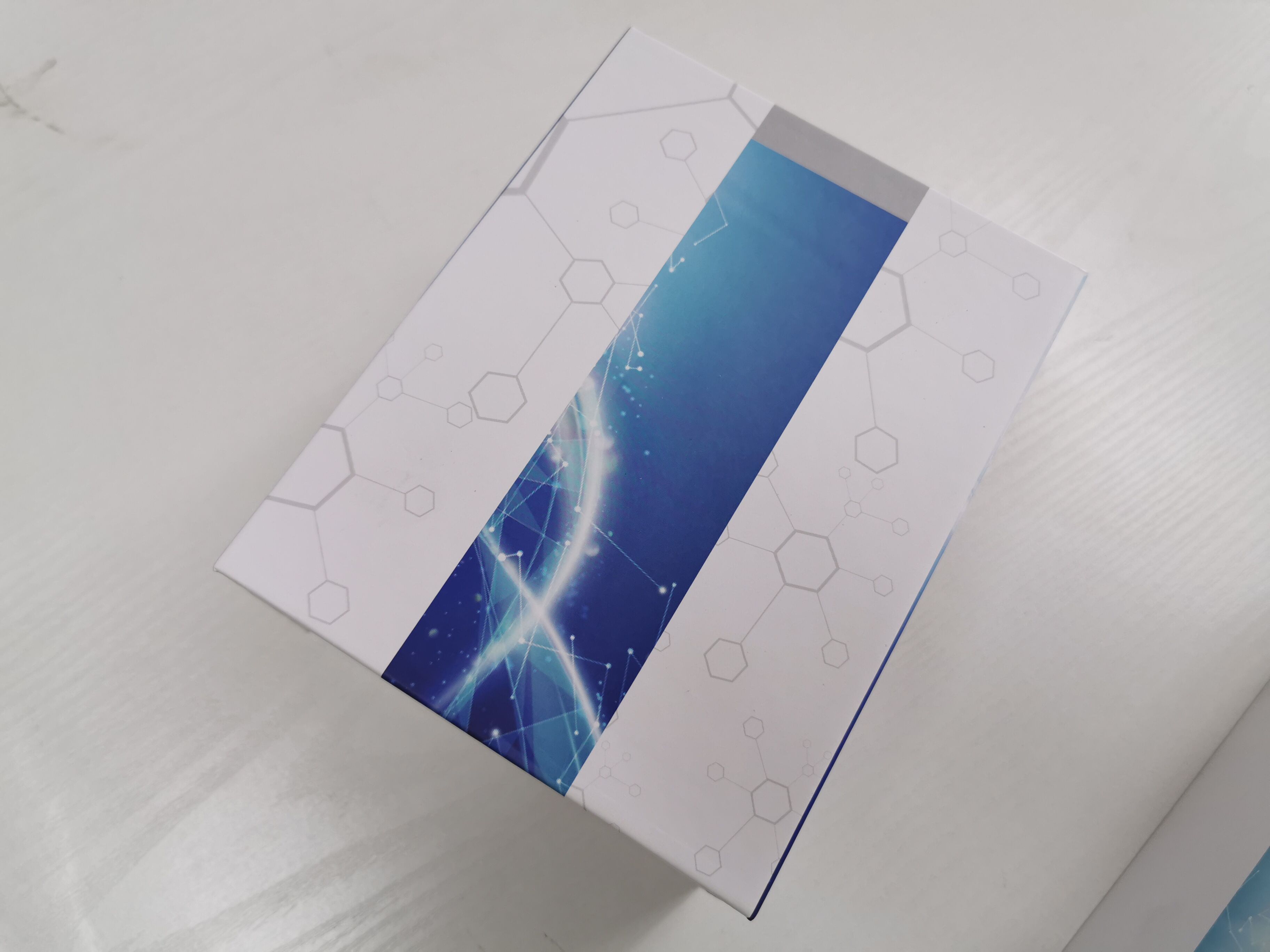 小鼠端粒酶酶联免疫试剂盒