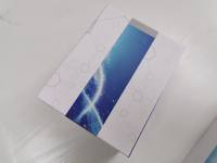 小鼠白介素-1β酶联免疫试剂盒