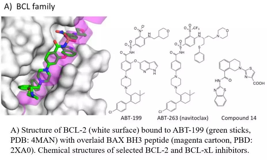 PPI 调节剂,你想好怎么筛了吗?