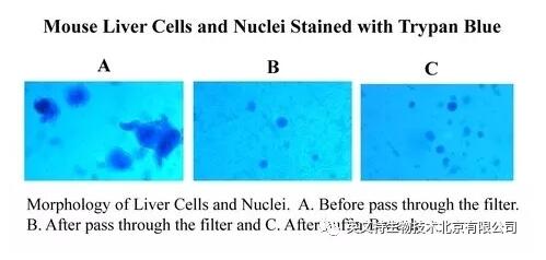 新品速递|单个细胞核分离又添“利器”！