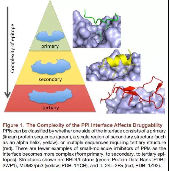 PPI 调节剂,你想好怎么筛了吗?