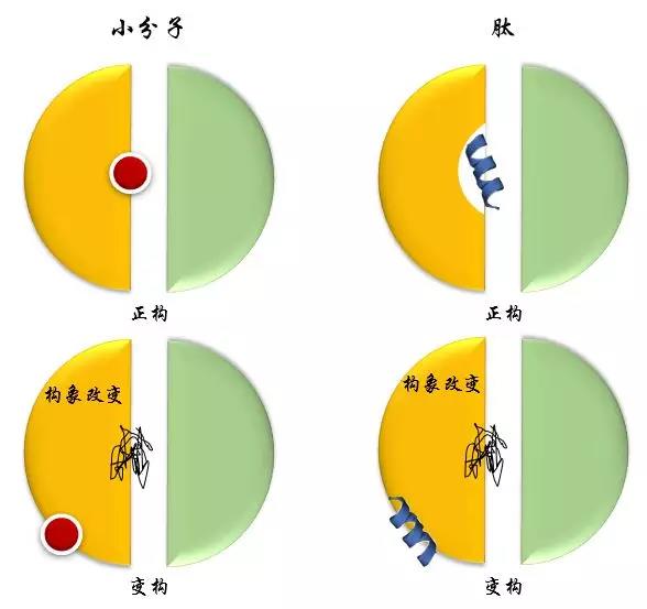PPI 调节剂,你想好怎么筛了吗?