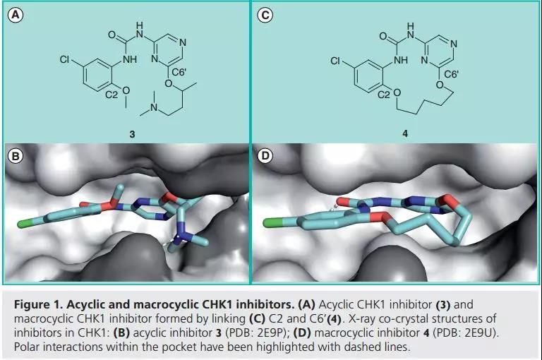 PPI 调节剂,你想好怎么筛了吗?