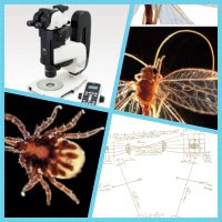 体视显微镜系列