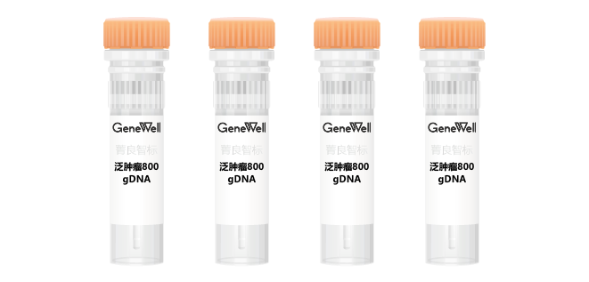 双十二必备秘笈 | 下单即送泛肿瘤800 gDNA 标准品