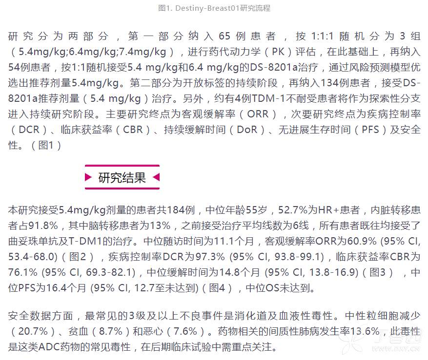 新型抗体偶联剂(DS-8201a)治疗HER-2阳性乳腺癌（转载） - 丁香园论坛