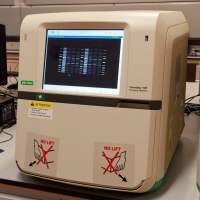 bio-rad伯乐ChemiDoc MP化学发光凝胶成像系统/全能型成像仪