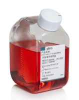 CTS™ AIM V™ SFM (RUO) 无血清细胞培养基A3021002