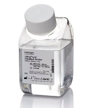 Invitrogen UltraPure DNase/RNase-Free Distilled Water 无核酸酶水 10977015
