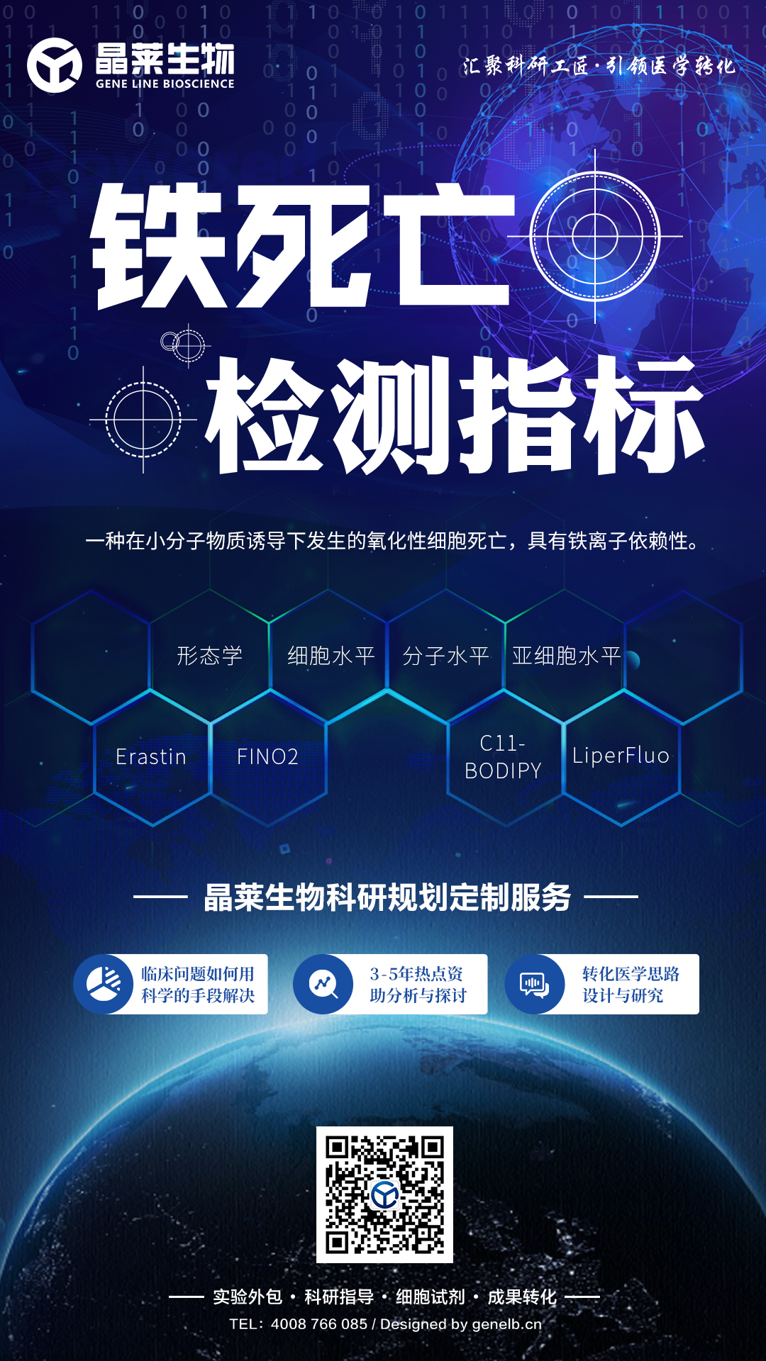 【科研干货】晶莱生物之铁死亡检测指标