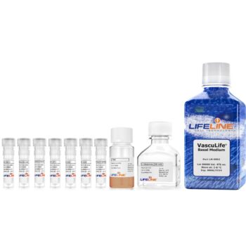 VEGF 内皮细胞专用培养基 VascuLife® VEGF Endothelial Medium Complete Kit
