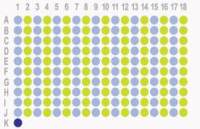 [胃癌，180点]HStmA180Su10 添加HStmA180Su09的p53数据