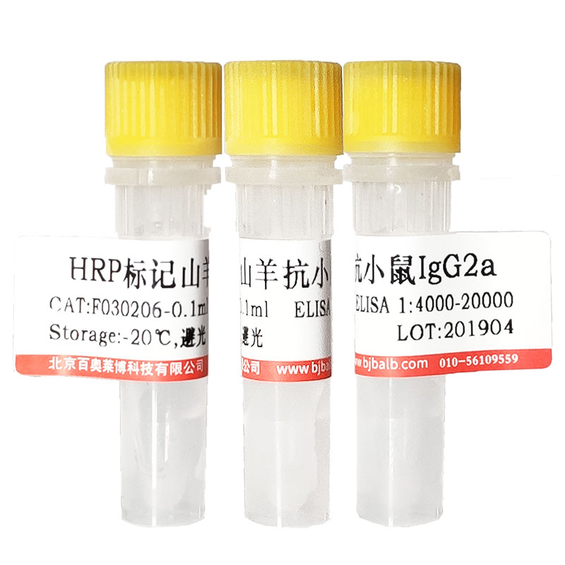 兔抗猴IgG(H+L)抗体现货供应