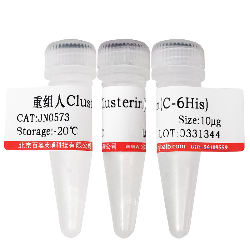 重组小鼠趋化因子CXCL15北京厂家