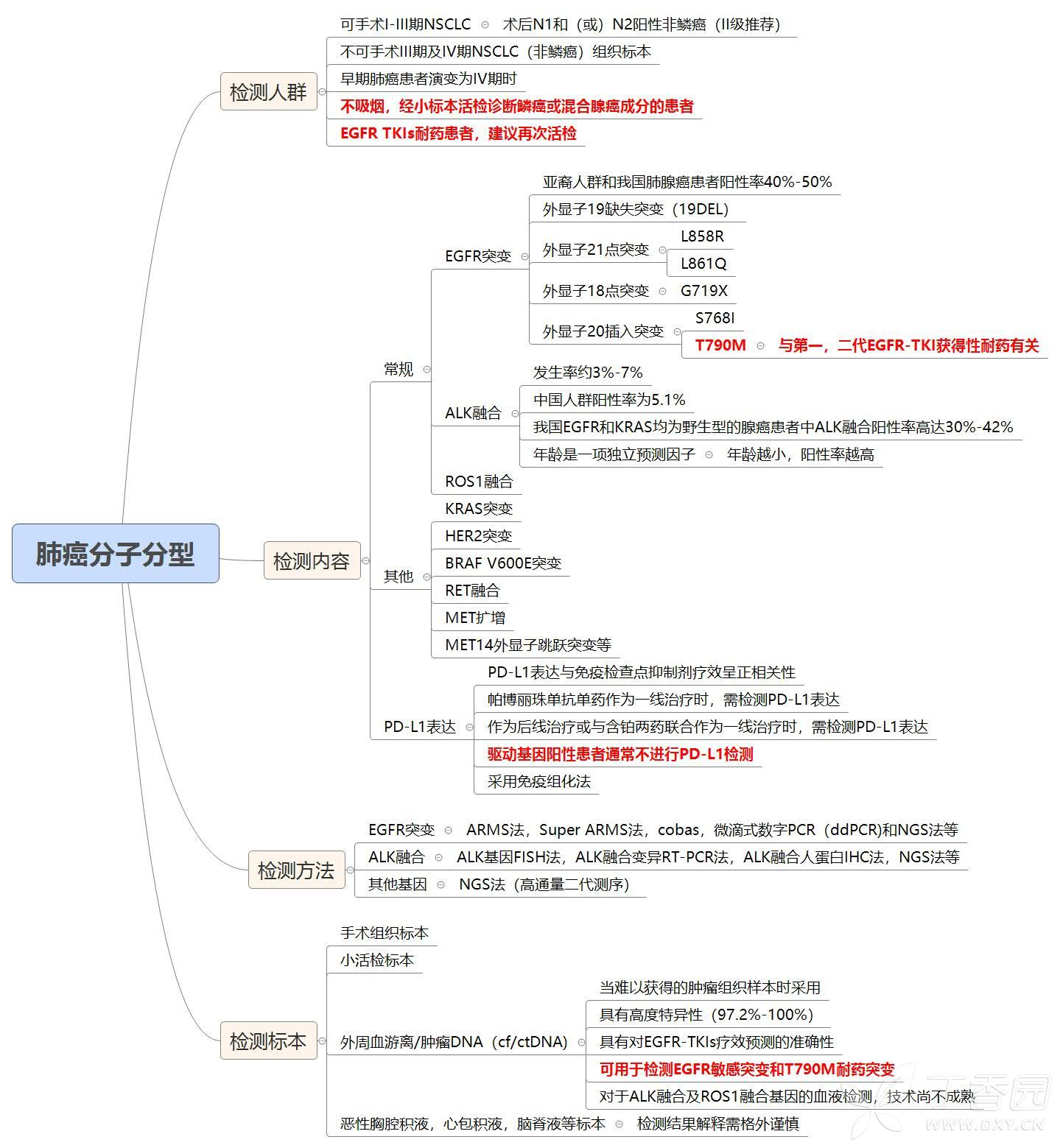 10,肺癌的分子分型
